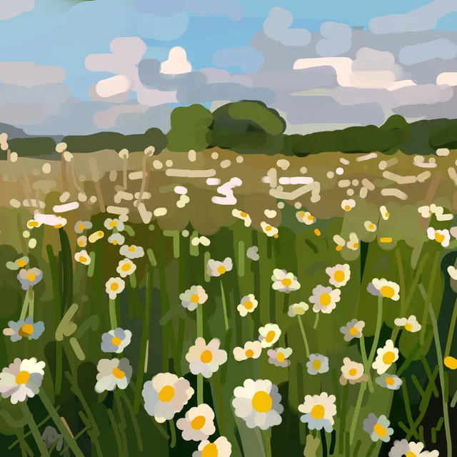 Champ de marguerites blanches à cœur jaune vu au ras des tiges, lisière d'arbres et ciel bleu nuageux